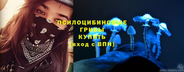 молекула духа Осинники