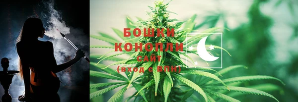 молекула духа Осинники