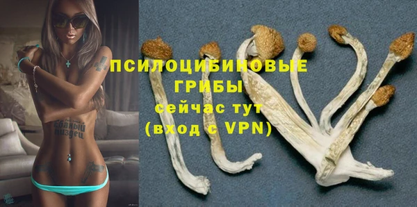 крисы Осташков