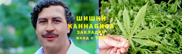 молекула духа Осинники